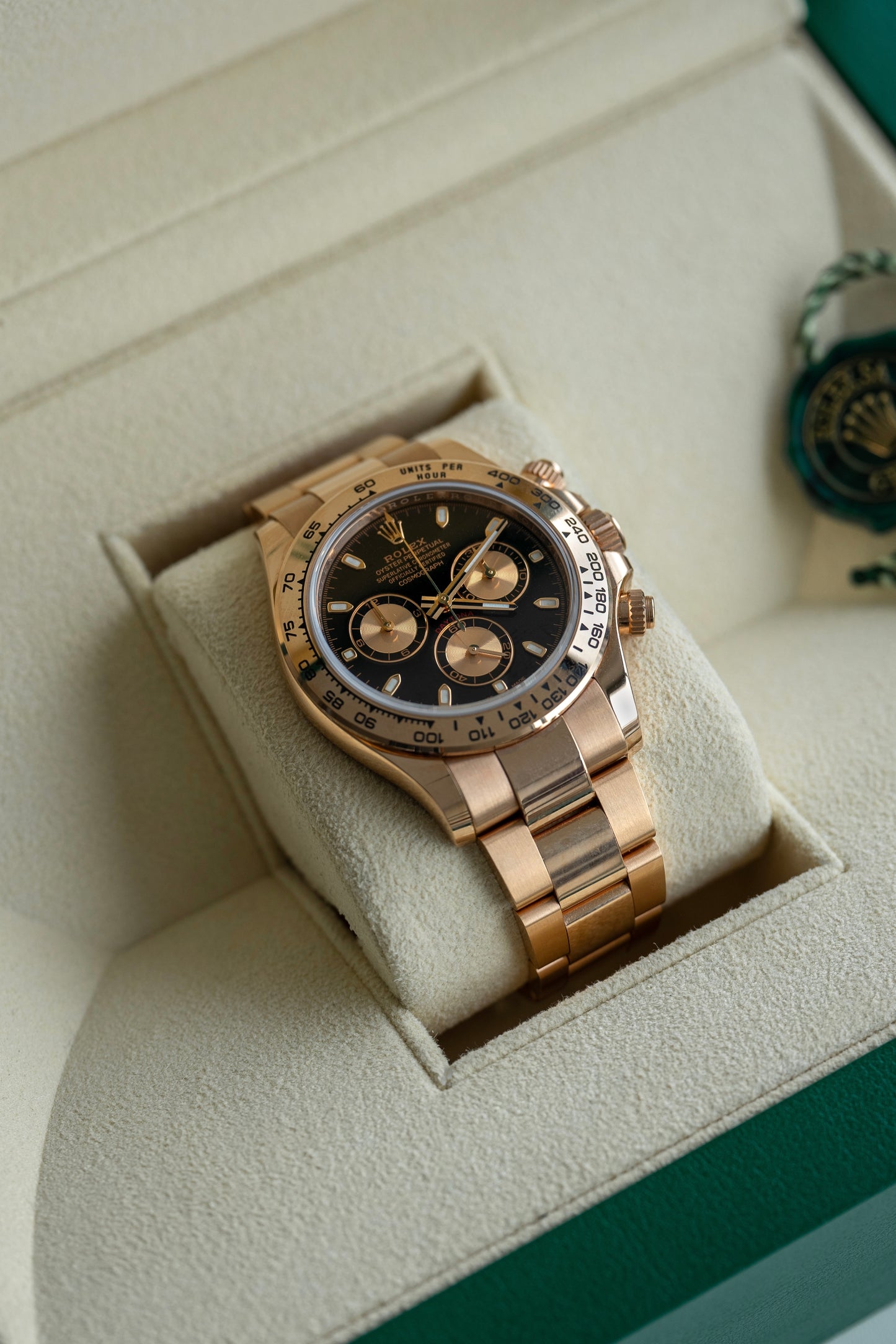 Rolex Daytona "Everose quadrante nero" ref.116505